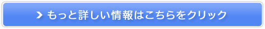 ytbVt[c`z500~_CGbg̐`̔TCg